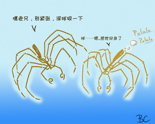 海蜘蛛用肠道输送氧气