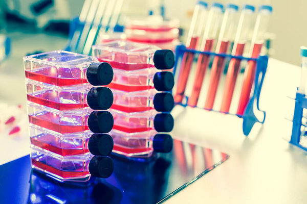 FDA委员会建议批准白血病的基因疗法