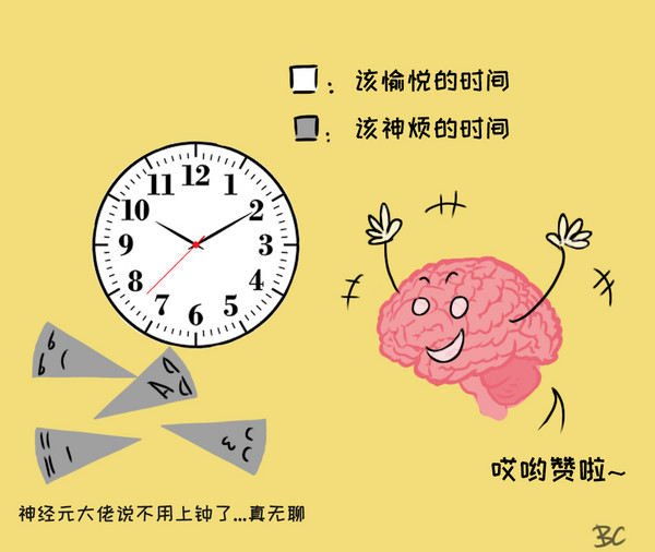 科学家鉴定了控制大脑生物钟的神经元
