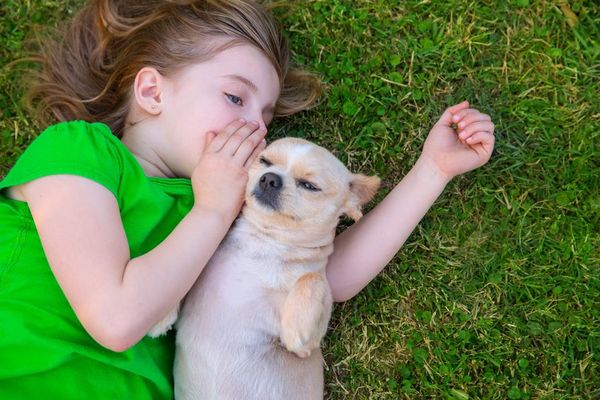 养宠物对孩子的健康有益？