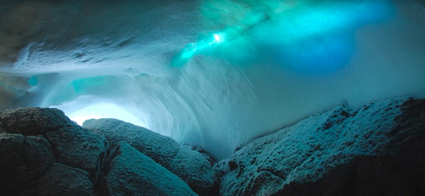 南极冰山下的温暖洞穴可能存在新的物种