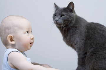 奇怪的迷信：猫会偷走婴儿的气息
