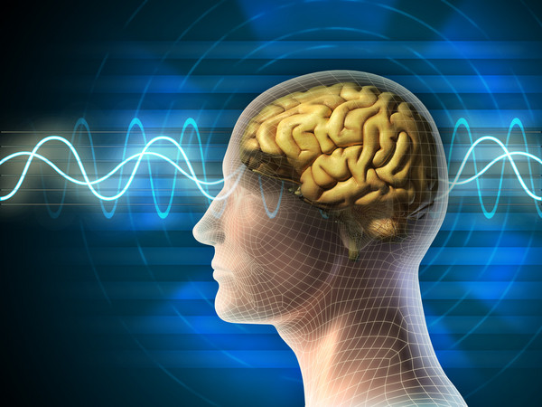 大脑植入设备能提高人类的记忆力