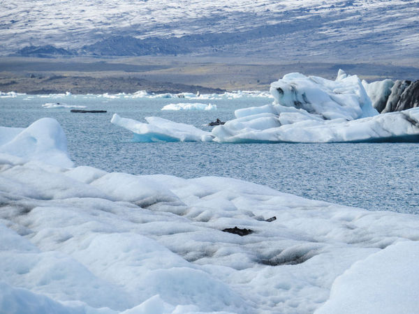 北极数据显示全球变暖并没有停止