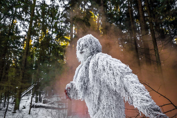 DNA揭秘：传说中的雪人到底是什么