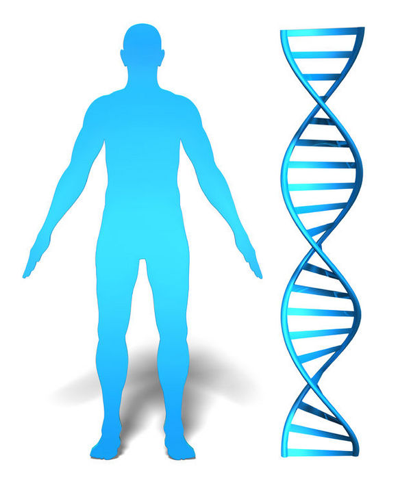 首次成功地从后代的DNA中构建出祖先的DNA