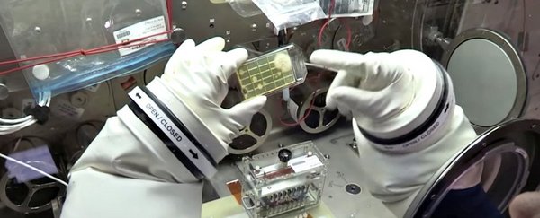 NASA首次在太空中实现微生物鉴定