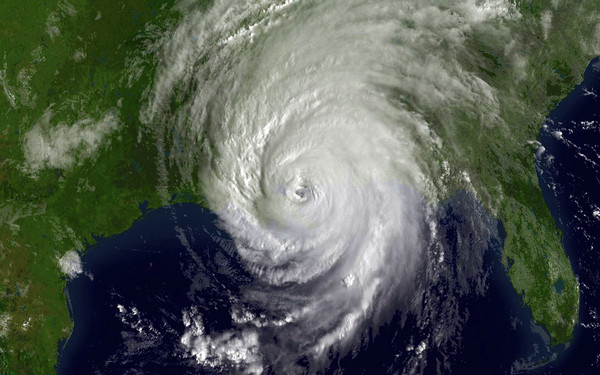 为什么雌性飓风比雄性飓风更为致命？