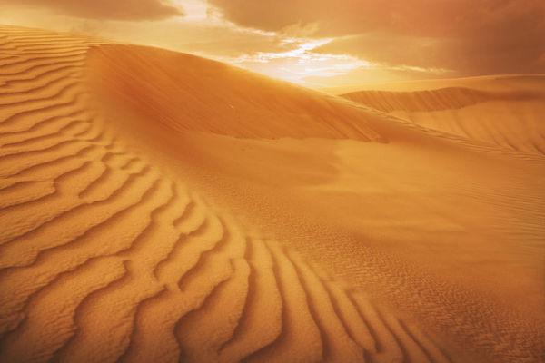 下一代建筑材料？可能是沙漠里的沙子