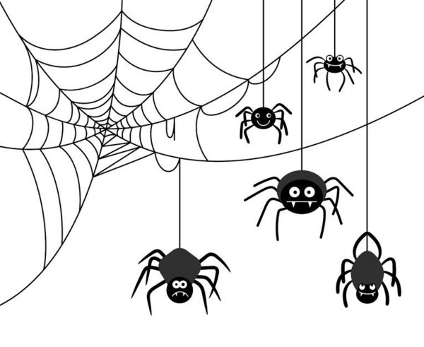 理论上，蜘蛛能在一年内吃掉全人类