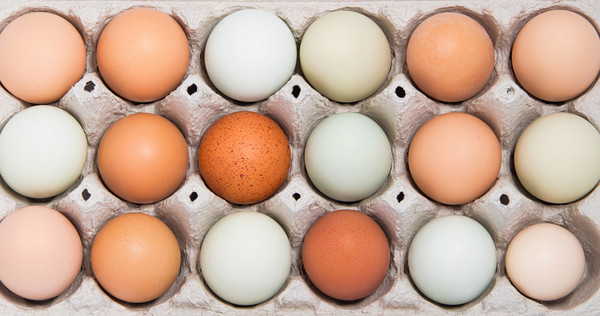 白蛋、黄蛋和绿蛋有什么区别？
