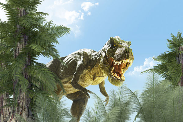 恐龙灭绝，是因为吃吃吃？