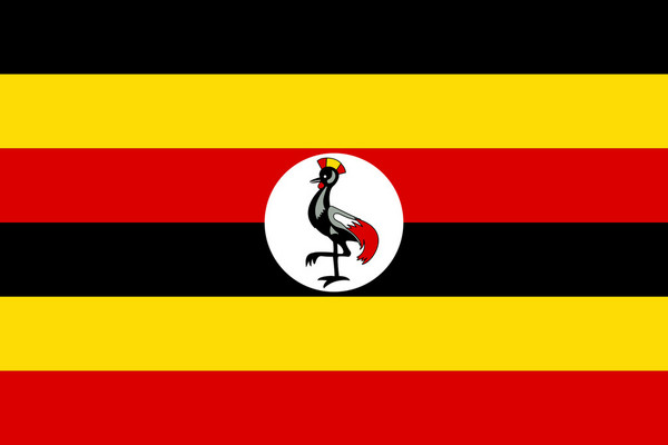 今年7月份开始，在乌干达用社交媒体要交税