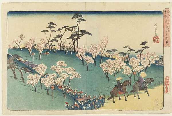 日本文化中，樱花为什么如此重要？