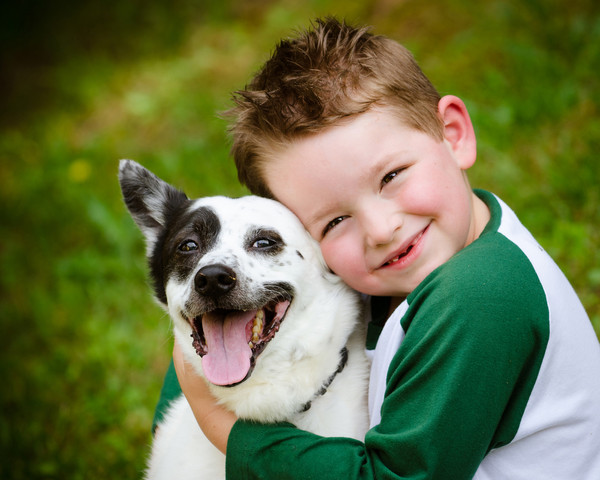 动物辅助治疗：可是狗狗喜欢抚慰人类吗？