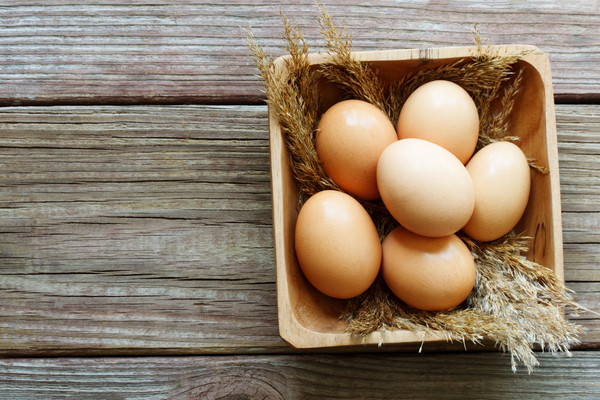 吃鸡蛋可以降低患心血管疾病概率