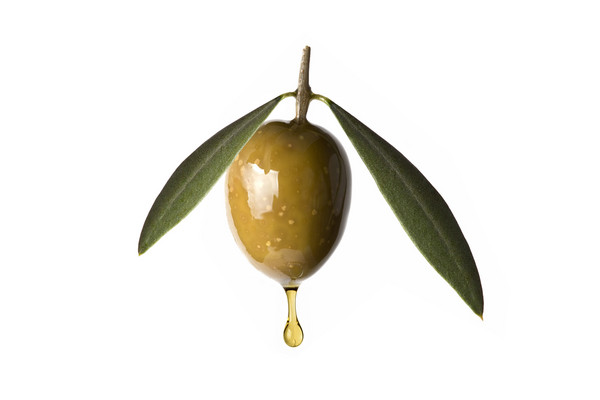 意大利最古老的橄榄油