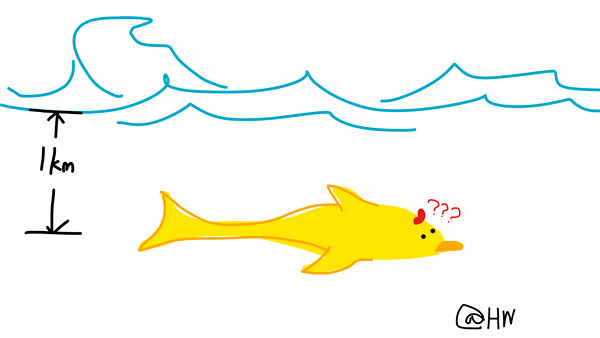 “超级”海豚能潜水一公里深