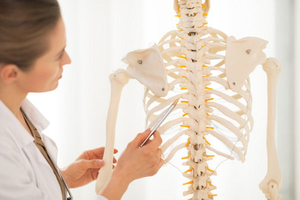 人类有着能帮助骨骼和软骨生长的骨骼干细胞