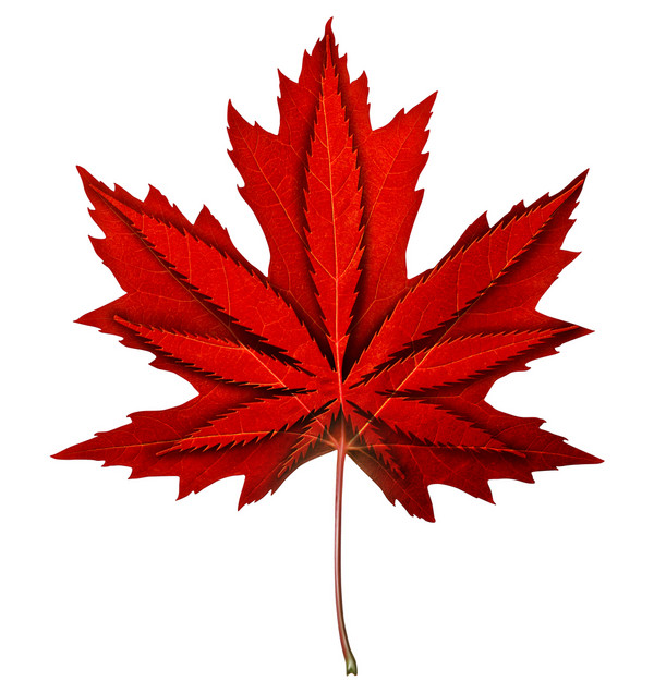 加拿大的大麻经济