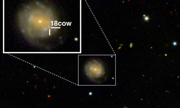 首次捕捉到了黑洞或中子星的诞生