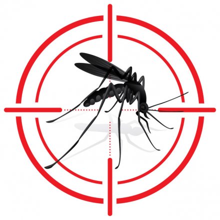 用细菌感染蚊子，让它无法传播病毒