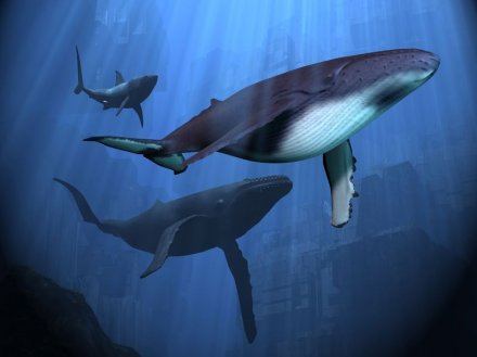 「蓝鲸」揭秘：教唆玩家自杀的游戏