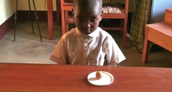 非洲小孩通过「棉花糖测试」，自制力远高于西方小孩
