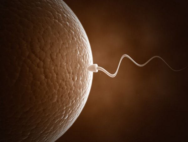 从精子库到人种改良精子库
