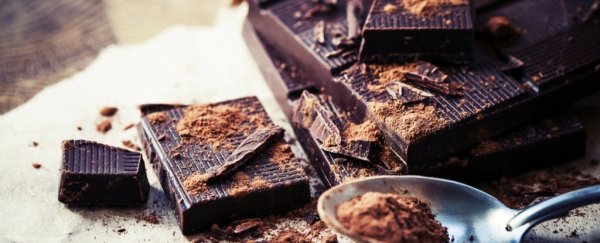 无厘头研究：吃巧克力可以健脑？