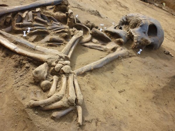 不需要挖到骨头也能考古：从土壤里提取DNA
