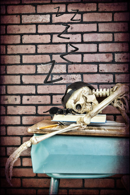 我们真的会在睡觉时误食蜘蛛吗？