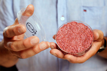 我们可以用干细胞生产肉吗?