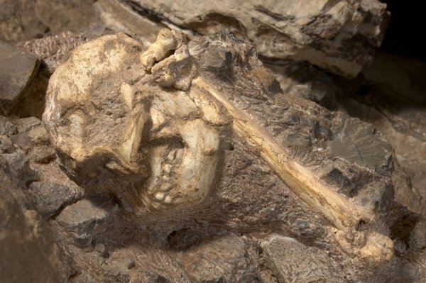 南方古猿“小脚”：最完整的古人类化石