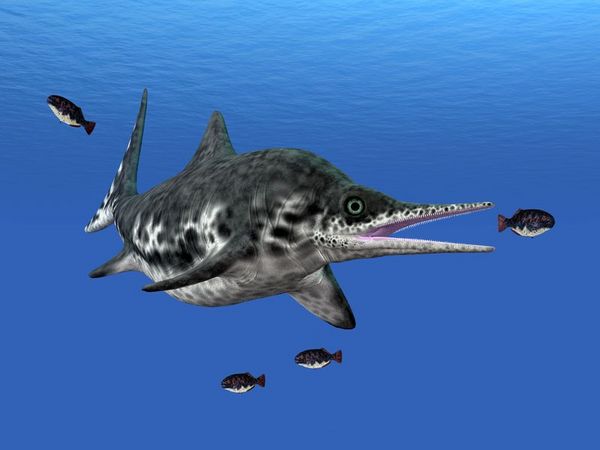 鱼龙可能是迄今体型最大的动物