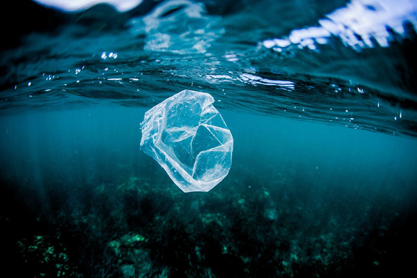 塑料袋泡入大海40天，上面细菌可作生物武器