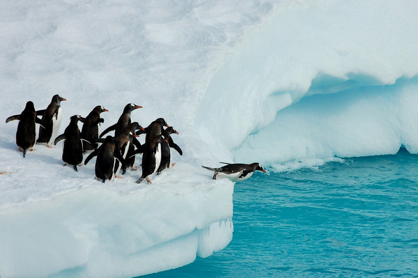 南极冰川融化速度加快