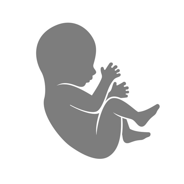 胎儿出生前能看到什么？