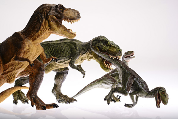 迄今为止最大的恐龙脚化石